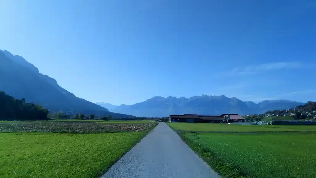 A path on the way to walking across Liechtenstein in one day.